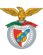 https://img.szpcoxn.com/img/football/team/13d8d22b32e0803f939082416da63541.png